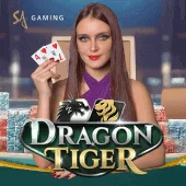 M Dragon Tiger
